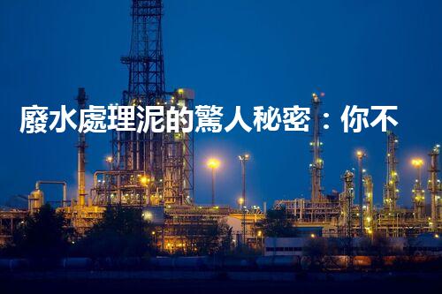 廢水處理泥的驚人秘密：你不明白的環(huán)保新突破！